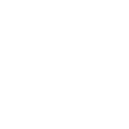 Home Icon